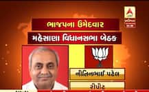 ભાજપે કેટલા પાટીદારોને આપી ટિકીટ ? જાણો કઈ બેઠક પરથી લડશે આ પાટીદારો ?