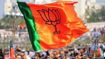 આ ચાર મહિલાઓને ભાજપમાંથી મળી ટિકિટ, ઓળખો કોણ છે આ ચાર મહિલાઓ, જાણો વિગતે 
