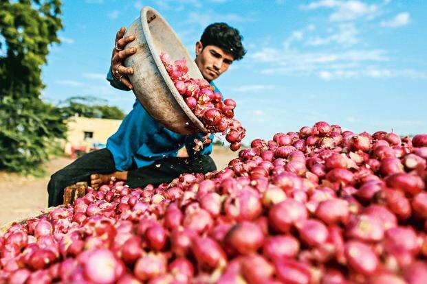 Agriculture News: Due to onion price falls farmers takes this bold step check in details Onion Price: ડુંગળીની કિંમત ગગડીને થઈ 2 થી 5 રૂપિયા પ્રતિ કિલો, ખેડૂતોએ લીધું આ પગલું