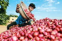 Onion Price: เชกเซเชเชเชณเซเชจเซ เชเชฟเชเชฎเชค เชเชเชกเซเชจเซ เชฅเช 2 เชฅเซ 5 เชฐเซเชชเชฟเชฏเชพ เชชเซเชฐเชคเชฟ เชเชฟเชฒเซ, เชเซเชกเซเชคเซเช เชฒเซเชงเซเช เช เชชเชเชฒเซเช