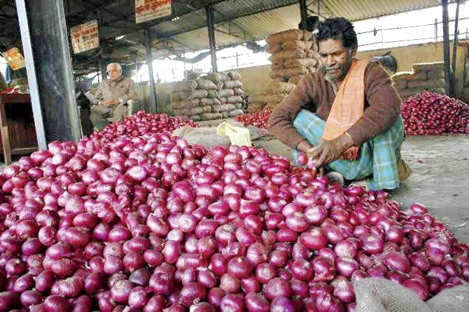 onion price down in delhi mumbai chennai and kolkata befor diwali 2021 check here 1 kg onion rates Onion price: दिल्ली, मुंबई समेत इन सभी शहरों में सस्ता हुआ प्याज, सरकार ने उठाए ये कदम, चेक करें आज क्या है 1 किलो का भाव?