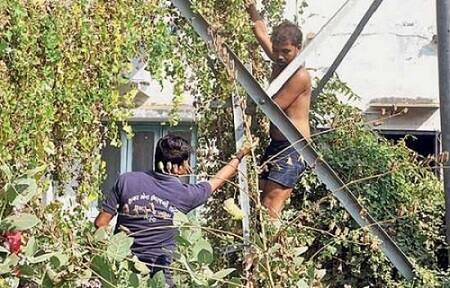 મોબાઇલ ટાવરની ટોચ પર પલાઠીવાળી પ્રવિણ ચૌધરી બેસી રહ્યો હતો. તેણે દક્ષિણ દિશામાં નર્મદા નદી તરફ મુખ રાખી ધ્યાન અને યોગની મુદ્રા પણ કરતાં લોકોમાં કૂતુર્હલ સર્જાયું હતું. 