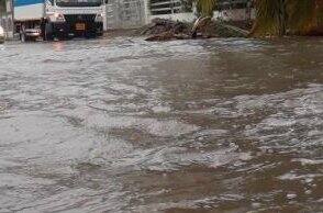 આ ઉપરાંત જીરૂ, ધાણાં, ઇસબગુલ જેવા પાકો પણ પ્રભાવિત થશે. ઘઉંના પાકમાં બહુ વાંધો આવવાની શકયતા નથી. આ કમોસમી વરસાદના કારણે ગુજરાતમાં એ પછીના સપ્તાહમાં ઠંડીનું પ્રમાણ વધશે અને જોરદાર ઠંડીનો ચમકારો જોવા મળશે તેની આગાહી પણ હવામાન ખાતા દ્વારા કરાઈ છે.