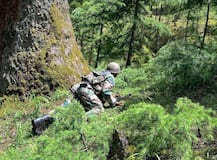 BSFએ લીધો શહીદ જવાન હાજરાનો બદલો, પાકિસ્તાનના 10 રેન્જર્સ કર્યાં ઠાર