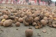 UP: બટાટાના ઓછા ભાવથી નારાજ ખેડૂતોઓ વિધાનસભા, CM હાઉસ બહાર કર્યા ઢગલા