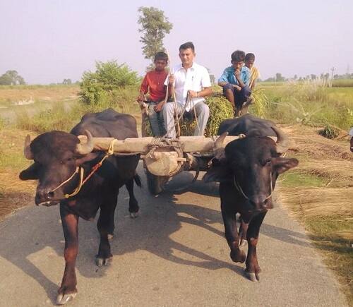પરેશ ધાનાણીના પિતાનું નામ ધીરજલાલ ધાનાણી છે જ્યારે પત્નીનું નામ વર્ષાબેન ધાનાણી છે. પરેશ ધાનાણીને બે પુત્રીઓ છે જેમાં એકનું નામ સંસ્કૃતિ અને બીજી પુત્રીનું નામ પ્રણાલી છે. પરેશ ધાનાણી એક ખેડૂત પુત્ર છે. જેમને સારી રીતે ખેતી કરતાં પણ આવડે છે. જ્યારે પોતે દૂધ પણ દોવે છે. જ્યારે અમરેલીમાં નવરાશની પણોમાં તેઓ એક્ટિવા લઈને નીકળે છે.