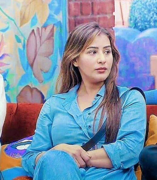 શિલ્પા આશરે 15 વર્ષથી ટીવી ઈન્ડસ્ટ્રીઝમાં કામ કરી રહી છે અને લગભગ દરેક મોટી ચેનલનો હિસ્સો બની છે. શિલ્પાએ ભાભીજી ઘર પર હૈ, કભી આયે ન જુદાઈ, લાલ મિર્ચી હરી મિર્ચી, માયકા, ચિડિયાઘર, દેવો કે દેવ મહાદેવ જેવી સીરિયલમાં કામ કર્યું છે.