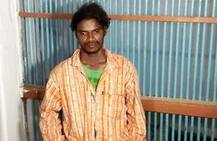 વડોદરાના યુવાને વટાવી વિકૃતિની હદ: ગાય સાથે એવું તે શું કર્યું કે ગાયનું મોત થયું, જાણો કારણ