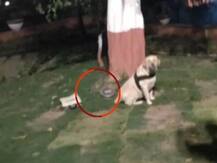 બિહારઃ બોધગયામાં મહાબોધિ મંદિર પાસેથી 2 જીવતા બોંબ મળ્યા, બૌદ્ધ ધર્મગુરુ દલાઇ લામા રોકાયા છે અહીં