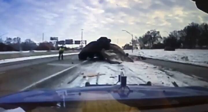 ઉલ્લેખનીય છે કે, આ સમગ્ર ઘટના પાછળ ઉભેલી પોલીસ વાનના કેમેરામાં કેદ થઇ હતી અને બાદમાં તેને ચેતાવણી રૂપે ટ્વીટર એકાઉન્ટ પર શેર કરવામાં આવી હતી. 