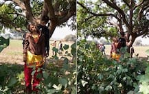 છોટાઉદેપુરઃ લગ્નના આગલા દિવસે જ દુલ્હનની જેમ સજી યુવતીએ પ્રેમી સાથે શું કર્યું, જોઈને તમે પણ ચોંકી જશો, જાણો વિગત