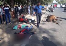ગાંધીનગરમાં ૧૨૫ની સ્પીડે ૨૨ લાખની બાઇક ગાય સાથે ટકરાતાં યુવકનું મોત
