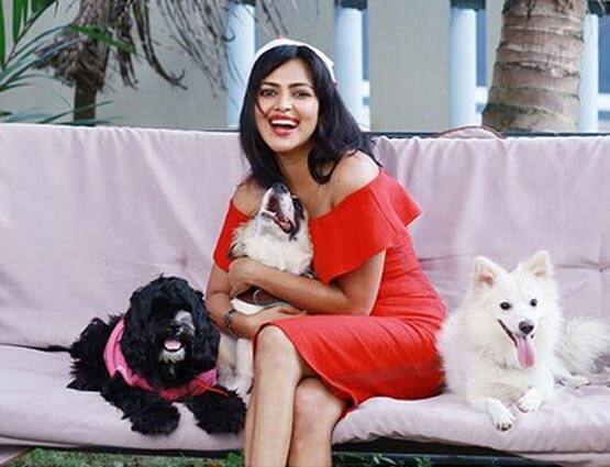 ચેન્નાઇઃ અવાર નવાર જુદીજુદી એક્ટ્રિસ દ્વારા પોતાની છેડતી કે કાસ્ટિંગ કાઉચ થયાના કિસ્સા પ્રકાશમાં આવી રહ્યાં છે, હવે આ મુદ્દે સાઉથની એક્ટ્રેસ અમાલા પૉલે પણ ફરિયાદ કરી છે. અમાલાનો આરોપ છે કે એક અજાણ્યા યુવકે તેની સાથે યૌન ઉત્પીડન કર્યુ, આને લઇને તેને ચેન્નાઇની ટી નગર પોલીસ સ્ટેશનમાં આરોપી સામે કેસ પણ નોંધાવ્યો છે.