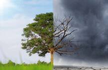 હવામાનમાં પલટો, રાજ્યમાં ક્યાં પડ્યો કમોસમી વરસાદ ને હજુ ક્યાં પડશે? ક્યા પાક પર થશે અસર?