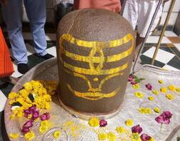 Mahashivratri 2022: Offer Belpatra To Bholenath In This Way. Know The Details