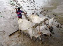 BJP નેતાનો બફાટ, કહ્યું- પાકને નુકશાનીથી બચાવવા માટે ખેડૂતોએ હનુમાન ચાલીસા વાંચવા જોઇએ