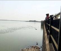 આજી ડેમના તળિયા દેખાયા, રાજકોટવાસીઓને ઉનાળામાં પાણી મળશે કે કેમ? જાણો વિગત