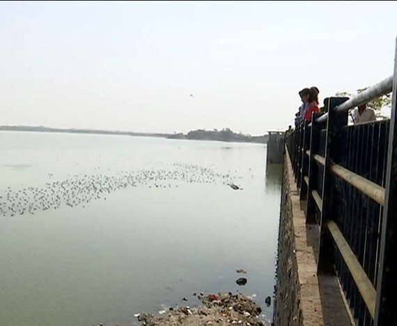 રાજકોટ: રાજકોટમાં ઉનાળા પહેલા પાણીની સમસ્યાઓ શરૂ થઈ છે. રાજકોટનો આજી ડેમ તળિયા ઝાટક છે. 31 માર્ચે પાણીની સમસ્યા સામે આવશે તે નક્કી છે. જેને લઇ મનપા કમિશનર બંછાનિધીપાનીએ રૂપાણી સરકારને દરખાસ્ત કરી છે કે નર્મદામાથી આજી ડેમ ભરી દો, પરંતુ સરકાર પાસે પણ ત્યા પાણીના ફાફા છે.