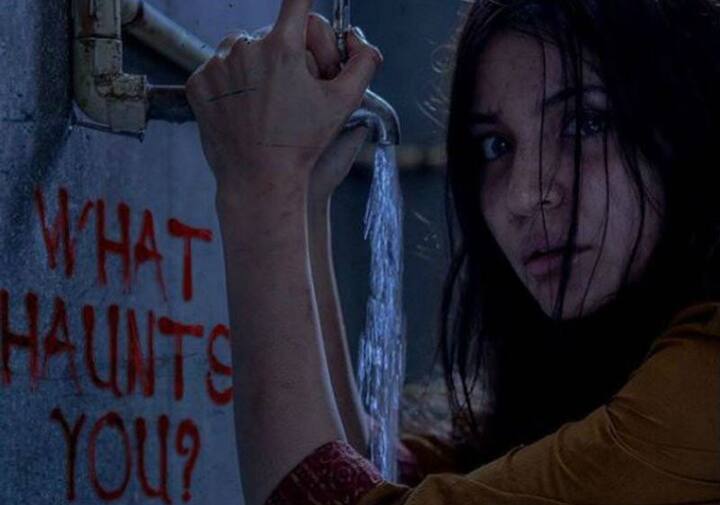 આ ઉપરાંત તે ફિલ્મ ઝીરોના શૂટિંગમાં વ્યસ્ત છે. ફિલ્મમાં તેની સાથે શાહરૂખ ખાન અને કેટરીના કૈફ પણ મુખ્ય ભૂમિકાઓમાં છે. ઝીરો મૂવી આ વર્ષે 21 ડિસેમ્બરે રિલીઝ થશે. 