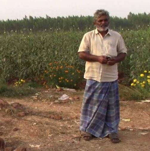 નેલ્લોરઃ ખેતરમાં લહેરાતા પાકને પશુ-પંખીથી બચાવવા ખેડૂતો મોટાભાગે ચાડિયાનો ઉપયોગ કરતાં હોય છે. કેટલાક ખેડૂતો ફેન્સિંગ કે અન્ય તરકીબ પણ અજમાવતા હોય છે. જોકે, આંધ્રપ્રદેશના એક ખેડૂતે તેના પાકને બુરી નજરથી બચાવવા અનોખો રસ્તો અપનાવ્યો છે. 