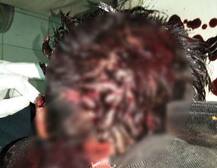 પોરબંદર: પુત્રીની નજર સમક્ષ જ પિતા પર ચાર શખ્સોએ ધારિયાથી હુમલો કરી મોતને ઘાટ ઉતાર્યા, જાણો વિગત