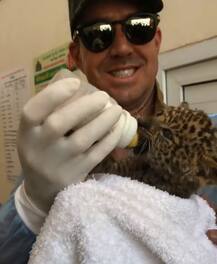 ઈંગ્લેન્ડના પૂર્વ ક્રિકેટર કેવિન પીટરસનનો પ્રાણી પ્રેમ, દીપડાનું બચ્ચું લીધું દત્તક, જુઓ તસવીરો