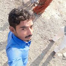 ભાવનગરઃ આ ડ્રાઇવરે ટ્રકને બ્રિજ પરથી નીચે ઠોકતાં ગયા 35 લોકોના જીવ, ડ્રાઇવર ઝડપાયો