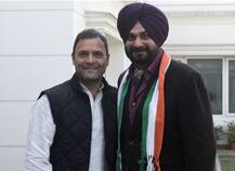 2019માં લાલ કિલ્લા પરથી ત્રિરંગો રાહુલ ગાંધી ફરકાવશે, જાણો કોંગ્રેસના ક્યા નેતાએ કરી આવી આગાહી