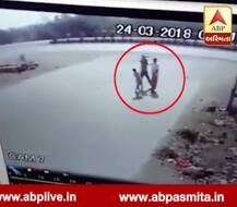 ગોંડલઃ પૂર્વ ધારાસભ્યએ ફોરેસ્ટ અધિકારીઓ સાથે કરી મારપીટ, CCTV થયા જાહેર