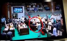 કૉંગ્રેસના ત્રણ ધારાસભ્યોના સસ્પેન્શનનો મામલો હાઈકોર્ટમાં પહોંચ્યો, જાણો ક્યારે થશે સુનાવણી