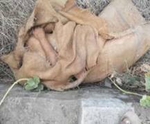 રાજકોટઃ હાથ પર ‘રામ’ ત્રોફાવેલ મહિલાની કોથળામાં પેક કરેલી કૂવામાંથી મળી લાશ