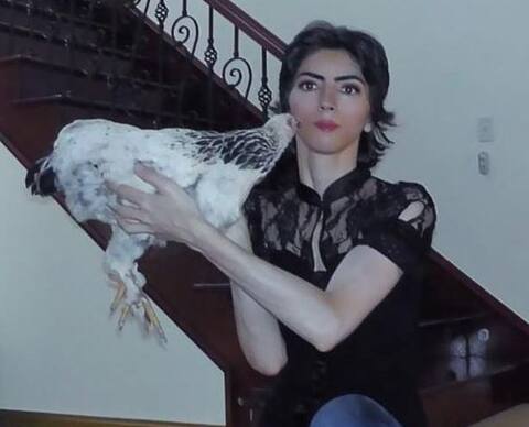 અમેરિકા: કેલિફોર્નિયામાં Youtubeના હેડ ક્વાર્ટરમાં ગોળીબાર, 4 ઘાયલ, મહિલા શૂટરનું મોત અમેરિકા: કેલિફોર્નિયામાં Youtubeના હેડ ક્વાર્ટરમાં ગોળીબાર, 4 ઘાયલ, મહિલા શૂટરનું મોત