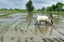 હવામાન વિભાગે ચોમાસુ સારું રહેવાની શક્યતા કરી વ્યક્ત, 97 ટકા પડી શકે છે વરસાદ