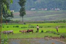 હવામાન વિભાગે ચોમાસુ સારું રહેવાની શક્યતા કરી વ્યક્ત, 97 ટકા પડી શકે છે વરસાદ