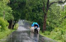 હવામાન વિભાગે ચોમાસુ સારું રહેવાની શક્યતા કરી વ્યક્ત, 97 ટકા પડી શકે છે વરસાદ