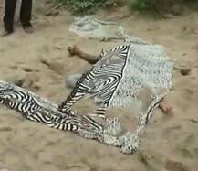 TV સીરિયલ જોઈને પ્રેમીએ ઘડ્યો પ્રેમિકાને મર્ડર કરવાનો ખતરનાક પ્લાન, શરીરના કર્યા અલગ-અલગ ટૂકડાં, જાણો વિગત