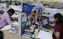 TCS Q1 Results: पहली तिमाही में 28.5 फीसदी बढ़ा TCS का मुनाफा, 20,409 नए कर्मचारियों को दी नौकरी