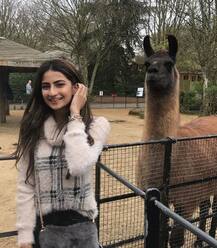 શ્વેતા તિવારીની દીકરી પર લાગ્યો લિપ સર્જરીનો આરોપ, મળ્યો આવો સણસણતો જવાબ