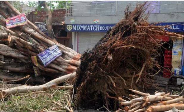 રાજસ્થાન સરકારે પણ વાવાઝોડાથી અસરગ્રસ્ત જિલ્લામાં આર્થિક મદદ કરવાની જાહેરાત કરી છે. મૃતકોના પરિવારને ચાર-ચાર લાખ રૂપિયાની આર્થિક સહાયતા આપવા મળશે અને ઘાયલોને 60 હજારથી બે લાખ રૂપિયા સુધીની આર્થિક સહાયતા આપવાની જાહેરાત કરી છે.