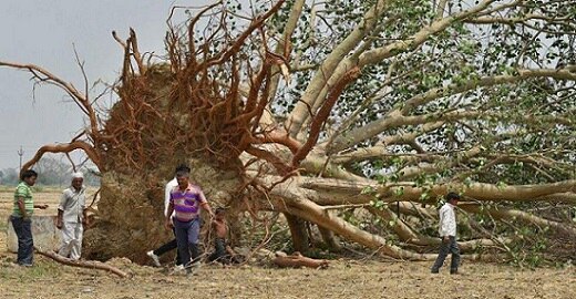 storm-may-hit-bihar-up-rajasthan-haryana-uttarakhand બિહાર, UP, ઉત્તરાખંડ, રાજસ્થાનમાં આંધી તોફાનની આશંકા, 3 દિવસમાં 124 લોકોના મોત