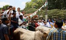 પેટ્રોલ-ડીઝલના વધતા ભાવનો કોંગ્રેસ અધ્યક્ષ રાહુલ ગાંધીએ આ રીતે કર્યો વિરોધ, જુઓ તસવીરો