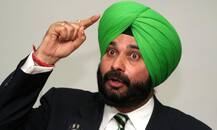 આ ક્રિકેટર પર સાંઢે કર્યો હુમલો, થયો ચમત્કારિક બચાવ, જાણો વિગત