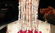 અમદાવાદઃ યુવતીએ એવું તે શું કહ્યું કે જાન લીલા તોરણેથી પાછી ગઈ? જાણો