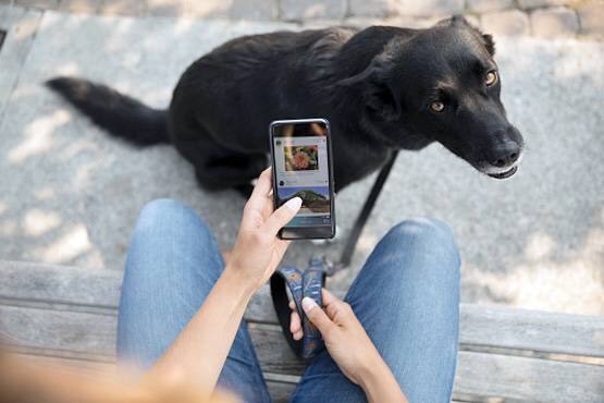 બેલ્ટમાં પિસ્ટૉલ લાગવેલી હતી, ત્યારે ખોળામાં આવવા માટે કુતરાએ જ્યારે ફરીથી કુદકો માર્યો તો તેના પગની આંગળીઓમાં ફસાઇને પિસ્તૉલનું ટ્રિગર દબાઇ ગયું હતું.