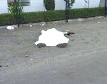 સુરતઃ યુવકને જાહેરમાં ચપ્પુના ઘા મારી હત્યારા ફરાર, હત્યાનું રહસ્ય અકબંધ, જાણો વિગત