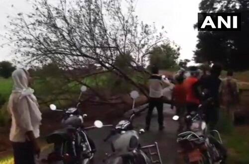 તોફાનના કારણે રસ્તામાં ઝાડ પડી ગયું હતું જેના કારણે હેમા માલિનીની કાર ઝાડ સાથે ટકરાઈ હતી. જોકે હેમા માલિનીને કોઈ ઈજા થઈ નથી. ઝાડ પડવાથી રસ્તા પર ટ્રાફિક જામ થઈ ગયો હતો. 