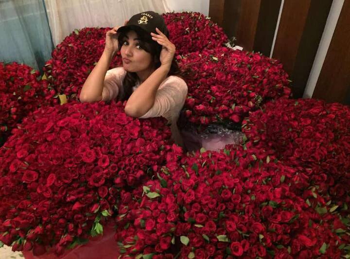 સોનલ ચૌહાનના એક ફેને તેને 28માં જન્મદિવસ પર 8000 લાલ ગુલાબ મોકલ્યા હતા. ફેને ગુલાબ મોકલતી વખતે તેનું નામ પણ લખ્યું નહોતું.