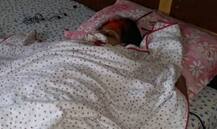 અમદાવાદઃ જજીસ બંગલો પાસે ટ્રિપલ મર્ડર, વેપારીએ પત્ની - બે બાળકોની કરી હત્યા