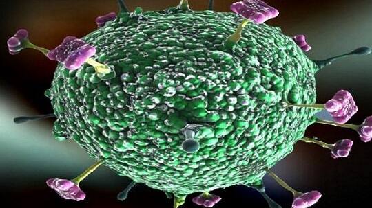  કેન્દ્રીય સ્વાસ્થ્ય રાજ્ય મંત્રી અશ્વિની ચૌબેનું કહેવું ચે કે નિપાહ વાયરસ કેરળમાં સ્થાનીક સ્તર પર જ છે. તેનાથી દેશના અન્ય ભાગમાં લોકોએ ગભરાવાની જરૂર નથી. 