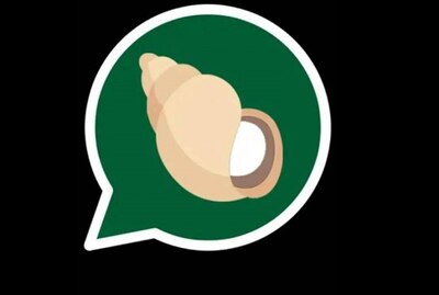 WhatsApp ને ટક્કર આપવા બાબા રામદેવે લોન્ચ કરી Kimbho મેસેજિંગ એપ